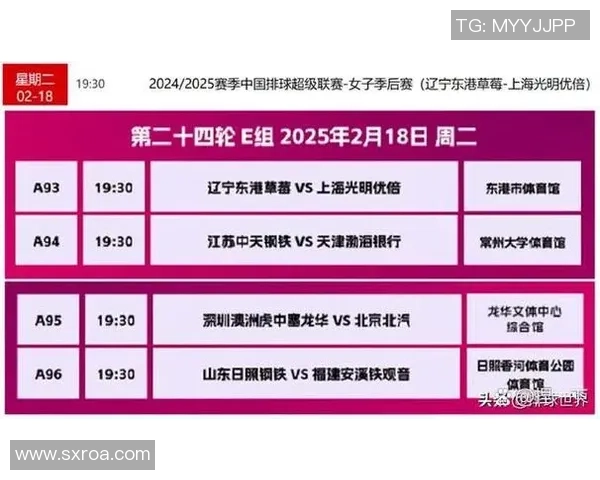 北京排球队反击战术解析：深度剖析排球比赛中的关键时刻与策略