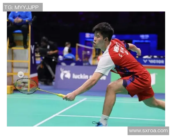 武汉羽毛球队崛起之路欧锦赛背后的奋斗与荣耀